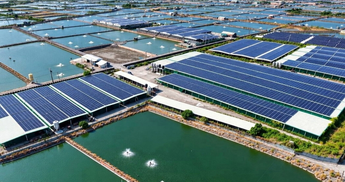 湖內畜舍B(987.28KW)